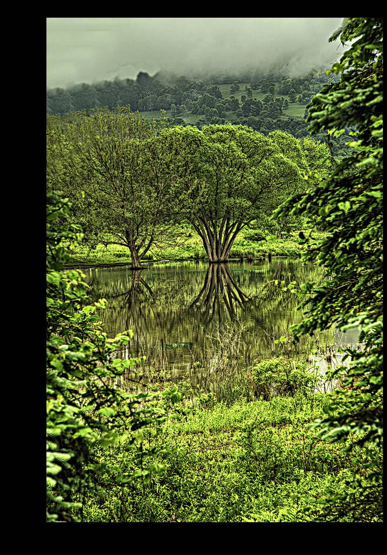 LAN 00847 Reproduction