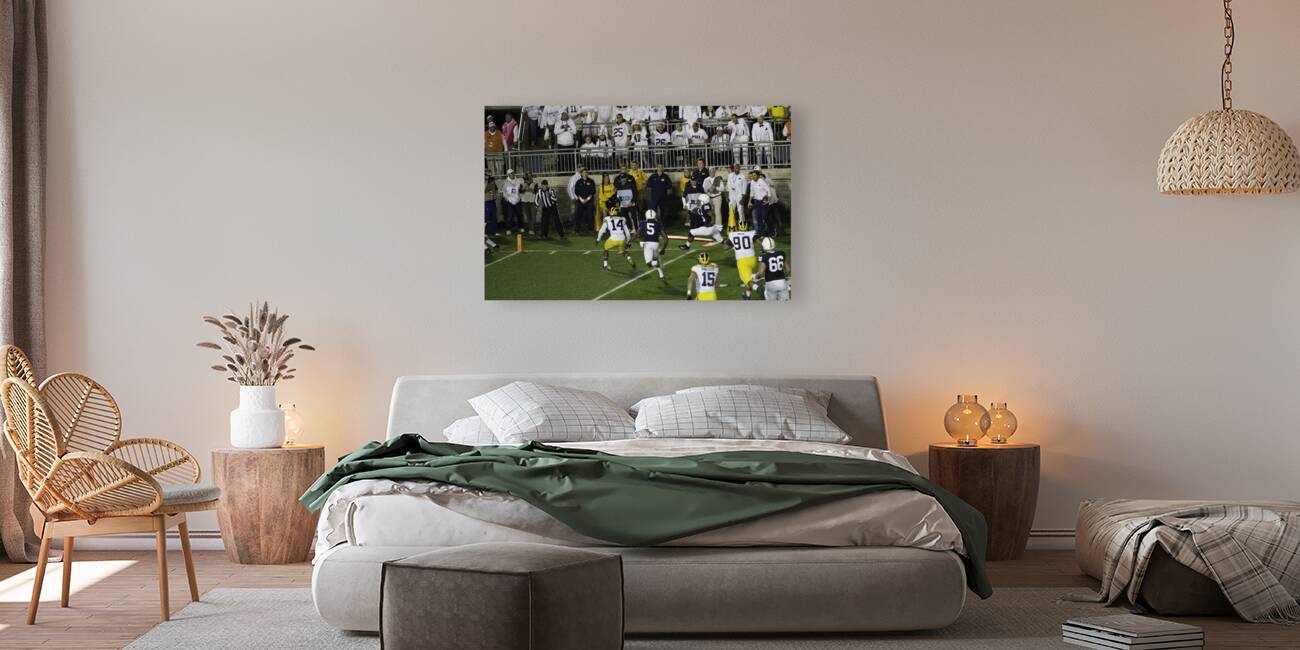 ACT 01378 Reproduction