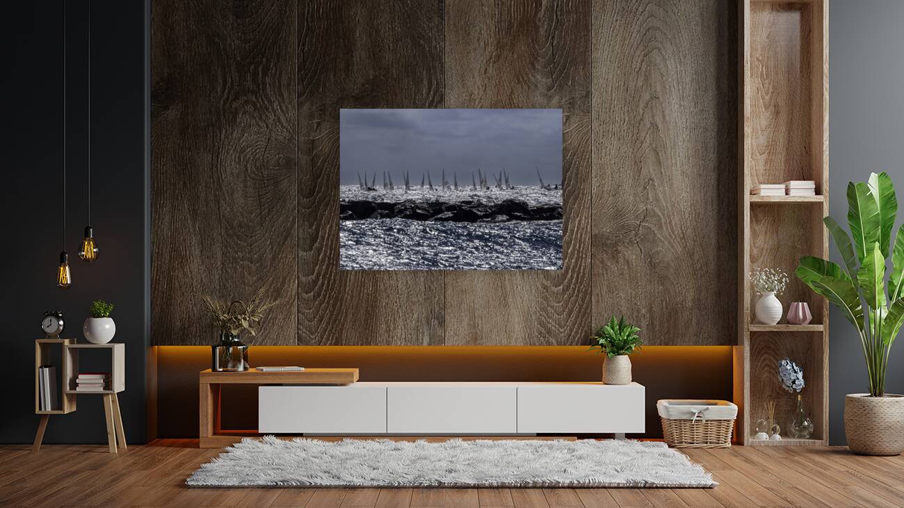 ACT 01350 Reproduction