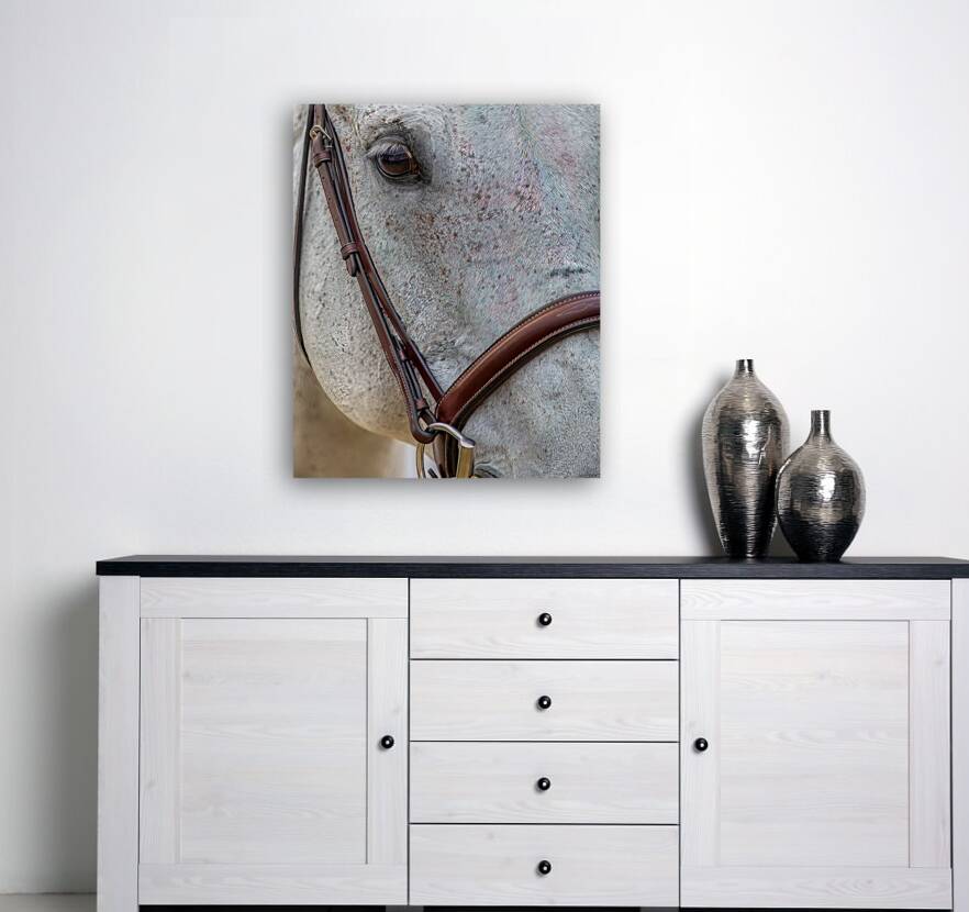 ANI 01692 Reproduction