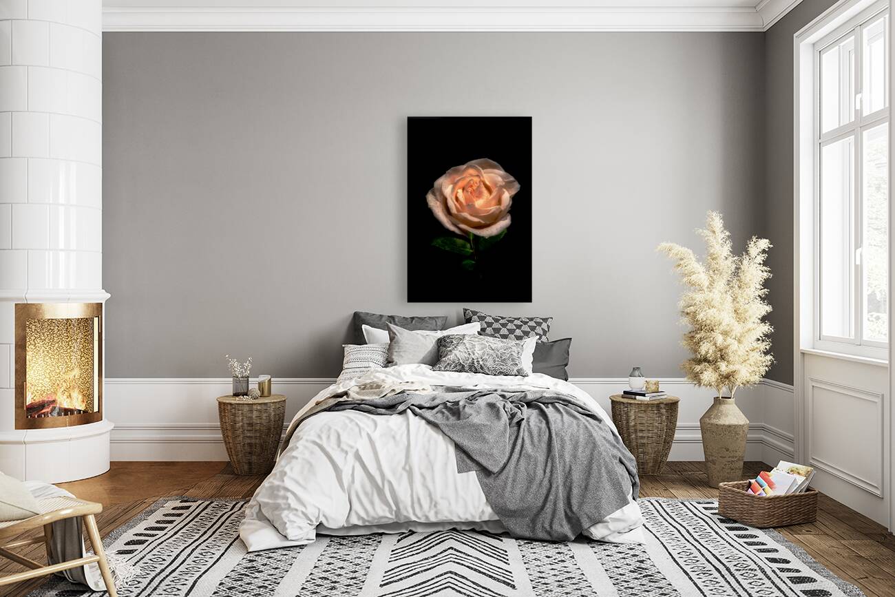 FLO 01817 Reproduction