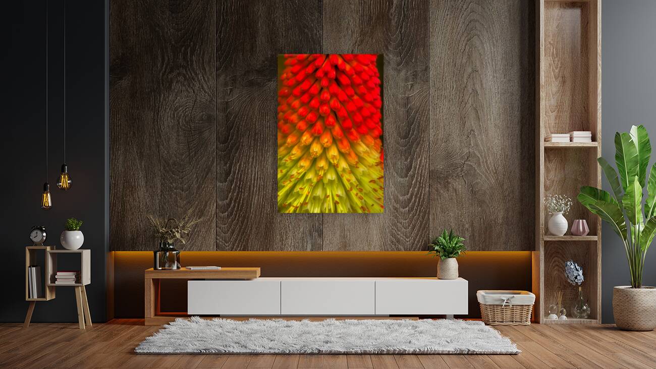 FLO 01822 Reproduction