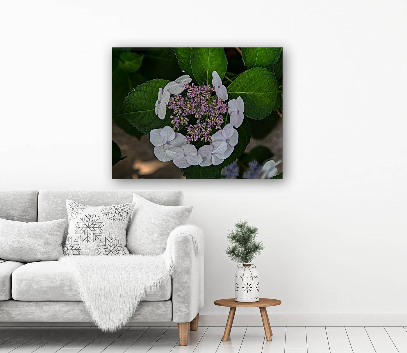 FLO 01773 Reproduction