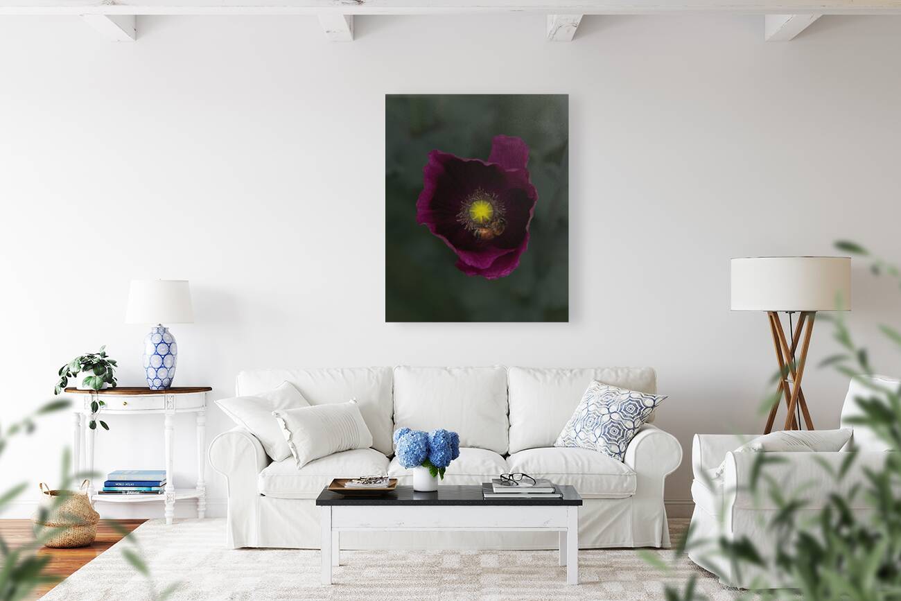 FLO 01799 Reproduction