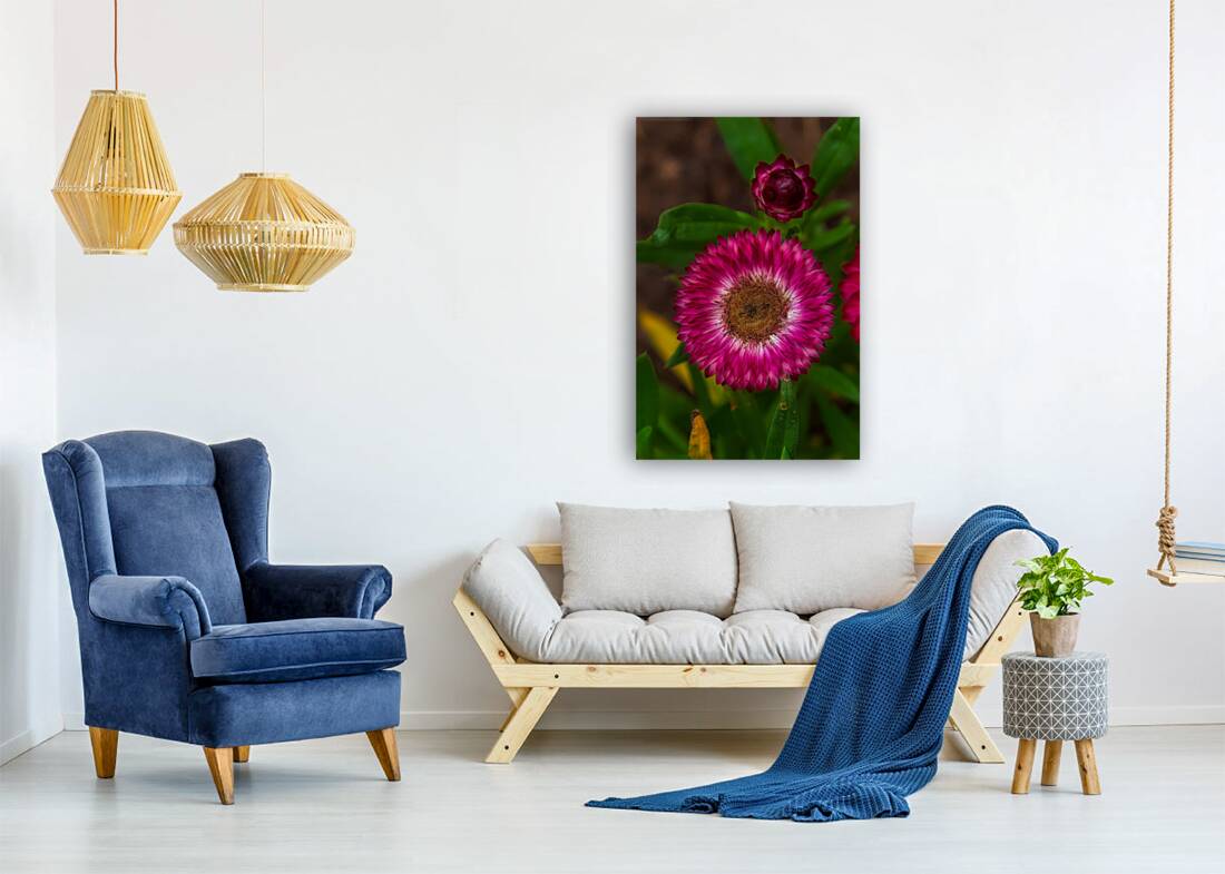 FLO 01783 Reproduction