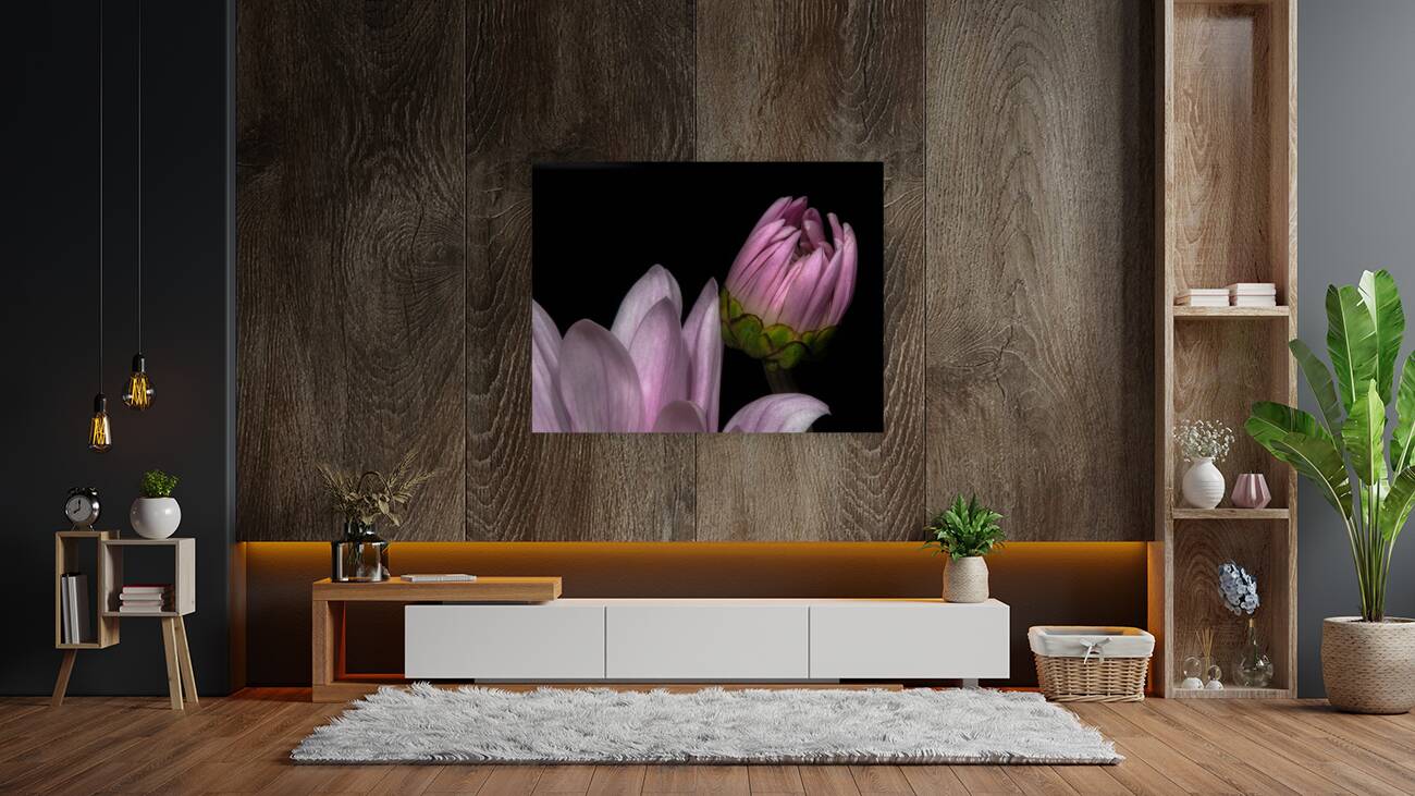 FLO 01765 Reproduction