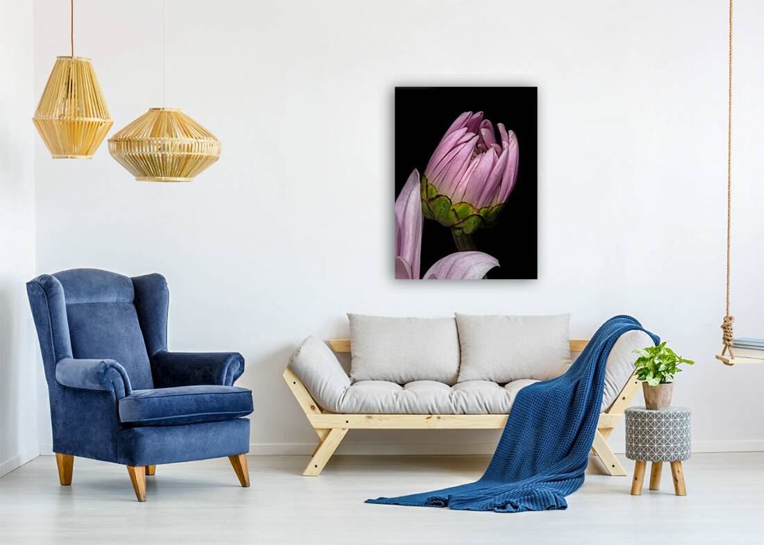 FLO 01766 Reproduction