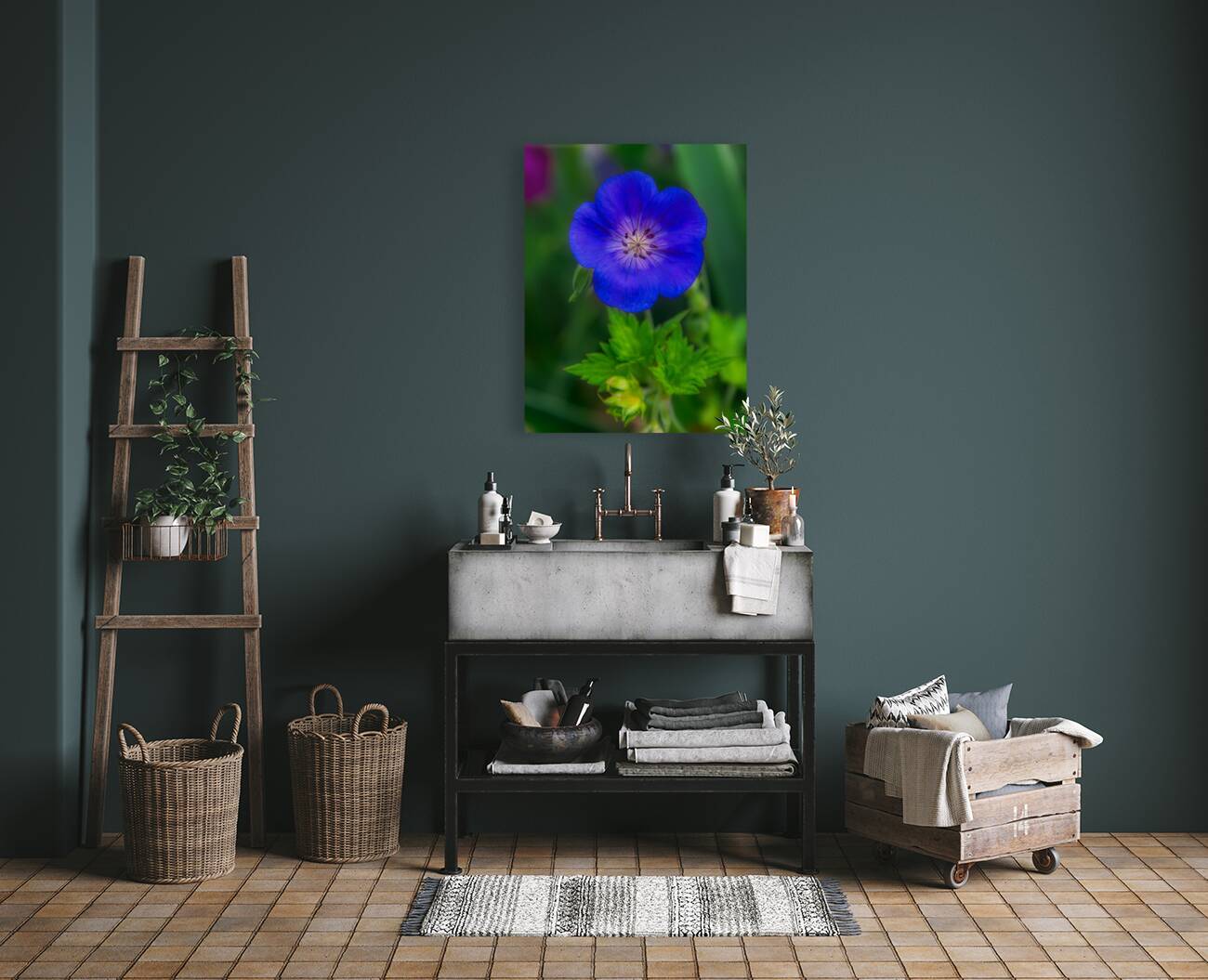 FLO 01775 Reproduction