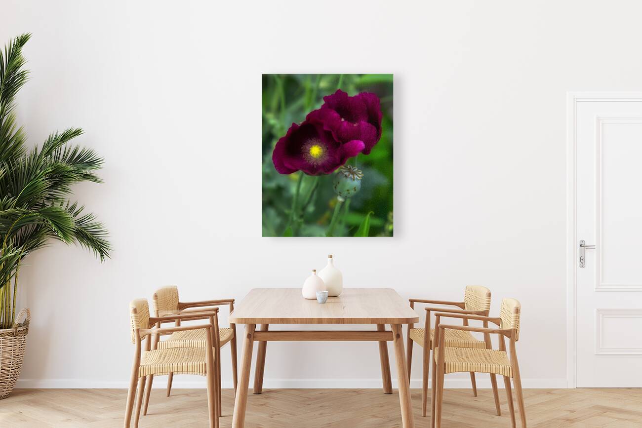 FLO 01779 Reproduction