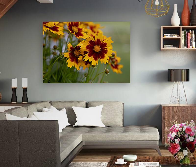 FLO 01801 Reproduction