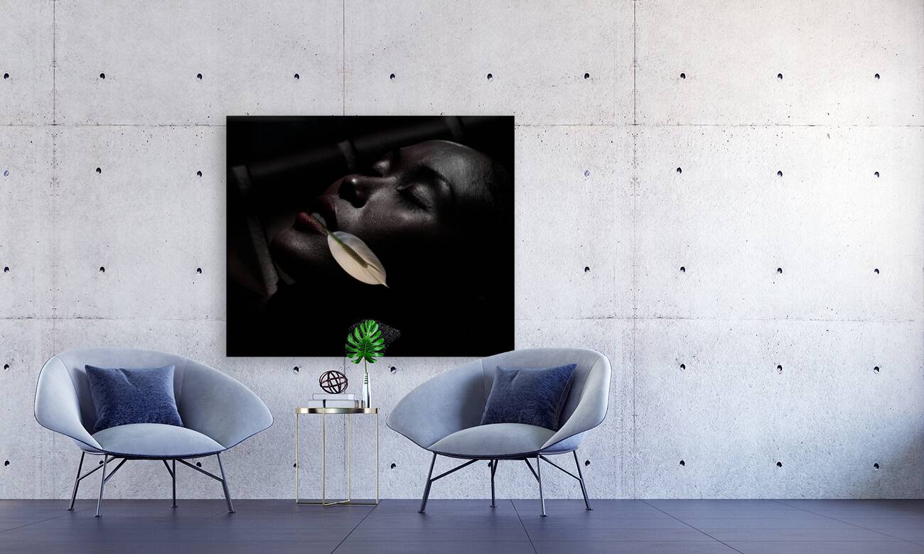 PEO 01852 Reproduction