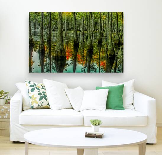 LAN 02090 Reproduction