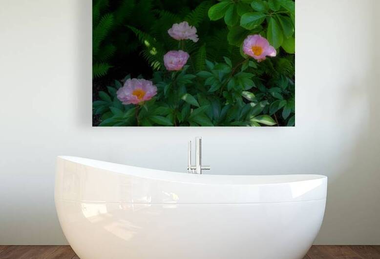 FLO 02284 Reproduction