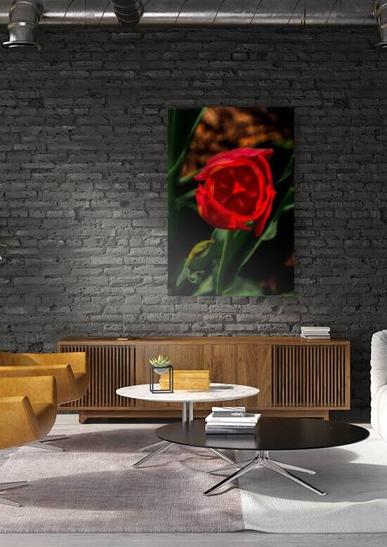 FLO 02211 Reproduction