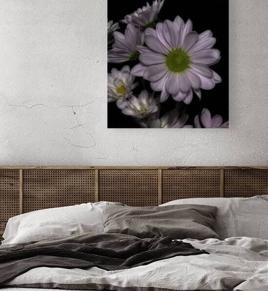 FLO 02591 Reproduction
