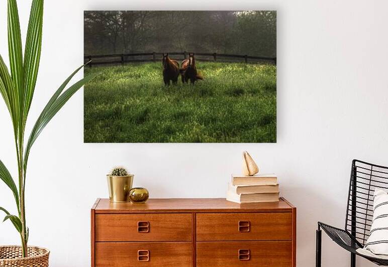 ANI 00107 Reproduction