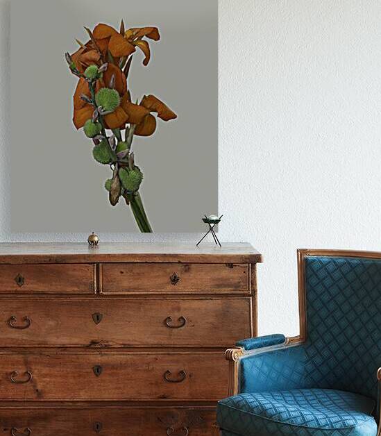 FLO 00490 Reproduction