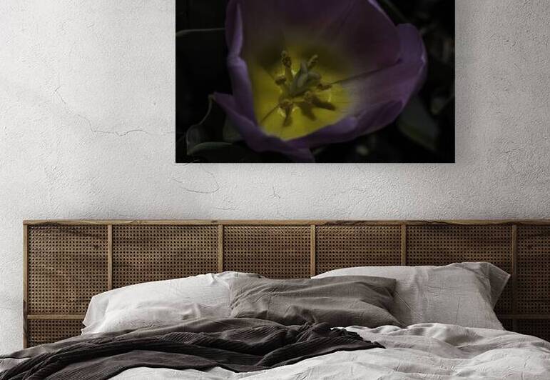 FLO 00495 Reproduction