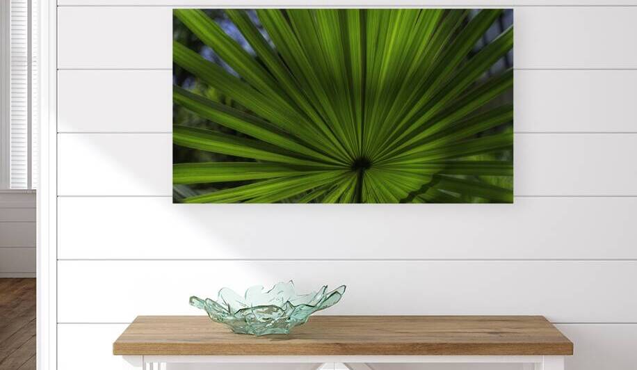 FLO 00540 Reproduction