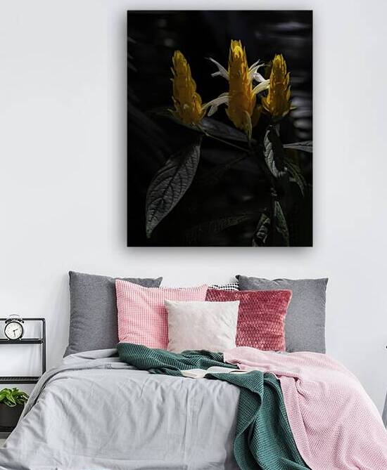 FLO 00539 Reproduction