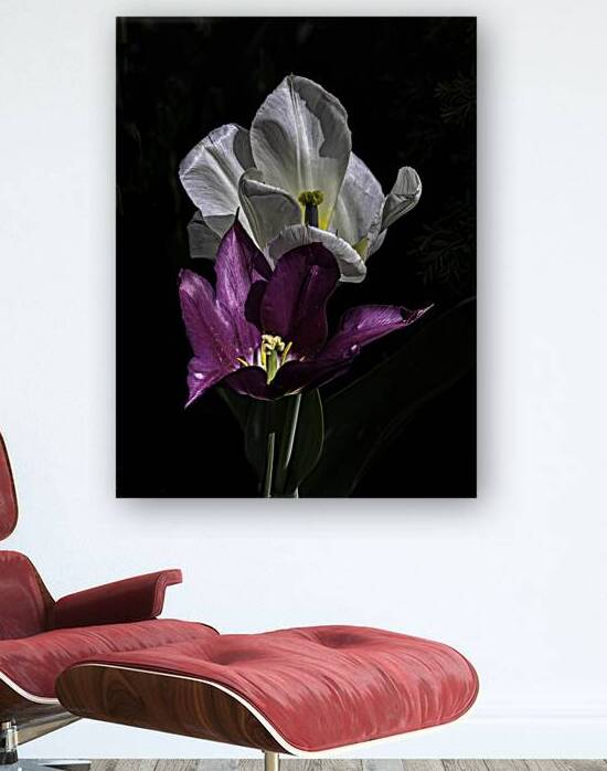 FLO 00520 by John Walborn Promenade Photos