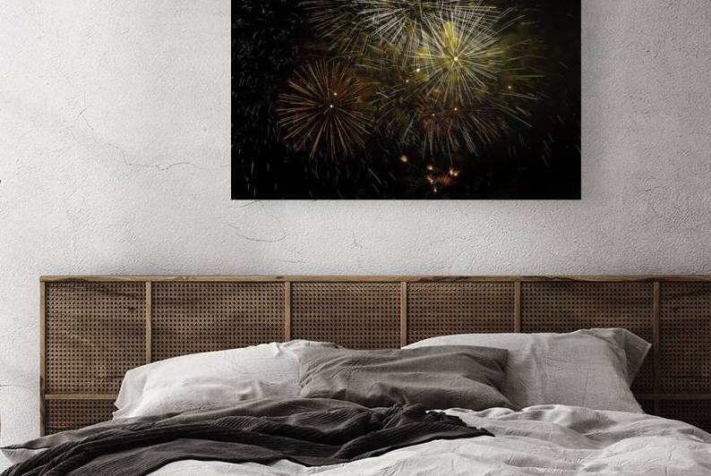 *MIS 01040 Reproduction