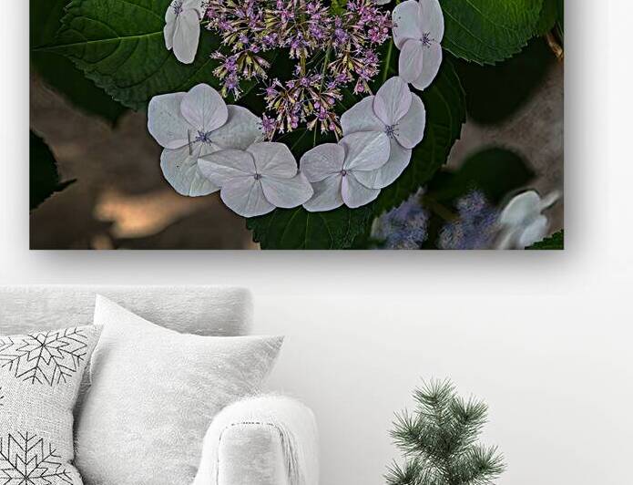 FLO 01773 Reproduction