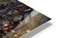ANI 02190 HD Metal print