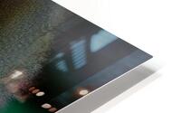 ANI *02173 HD Metal print