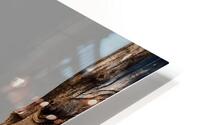 BIR 02364 HD Metal print