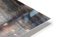 BIR 02145 HD Metal print