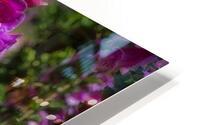 FLO 02282 HD Metal print
