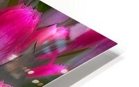 FLO 02266 HD Metal print