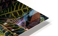 FLO 02278 HD Metal print