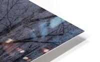 LAN 02300 HD Metal print