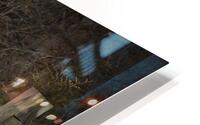 BIR 02431 HD Metal print