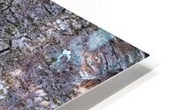 INS 02461 HD Metal print