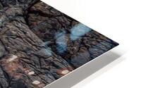 MIS 02439 HD Metal print