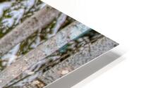 ANI 02577 HD Metal print