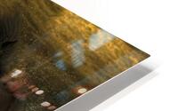 ANI 02611 HD Metal print