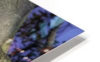 BIR 02600 HD Metal print