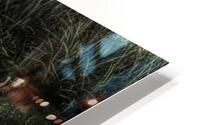 BIR 02621 HD Metal print