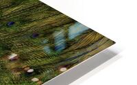 BIR 02628 HD Metal print