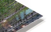 LAN 02617 HD Metal print