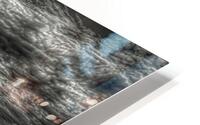 LAN 02624 HD Metal print