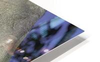 BIR 2671 HD Metal print