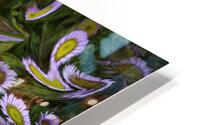 ABS 00064 HD Metal print