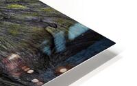 ABS 00004 HD Metal print