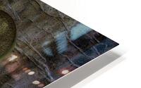 *ABS 00033 HD Metal print