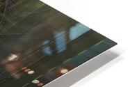 ABS 00087 HD Metal print